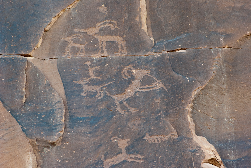 Petroglyph with a sheep playing a flute.