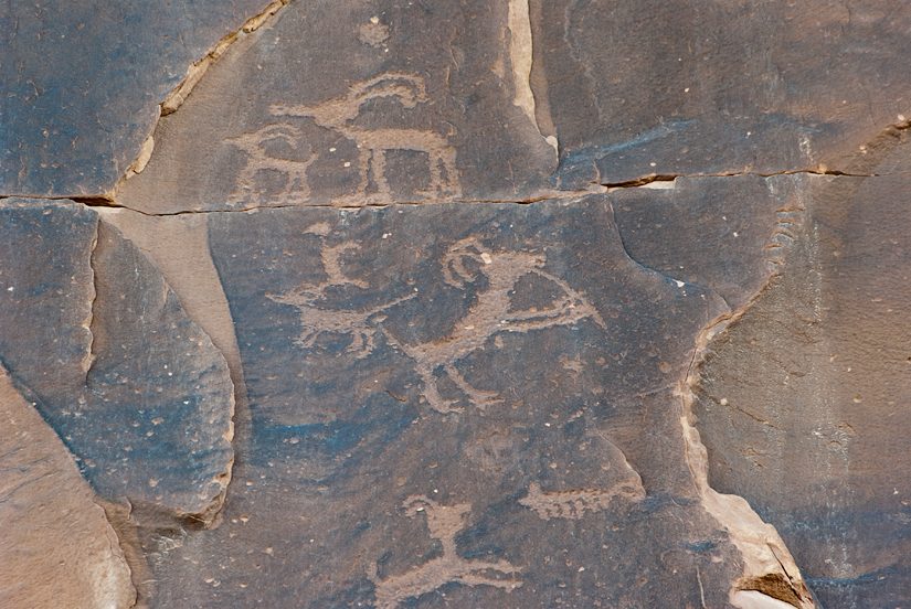 Petroglyph with a sheep playing a flute