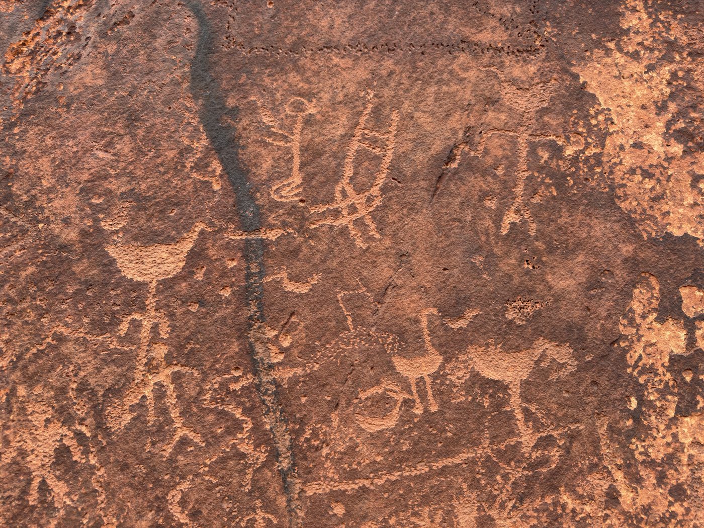Petroglyph panel with a coupling pair among birds and other figures