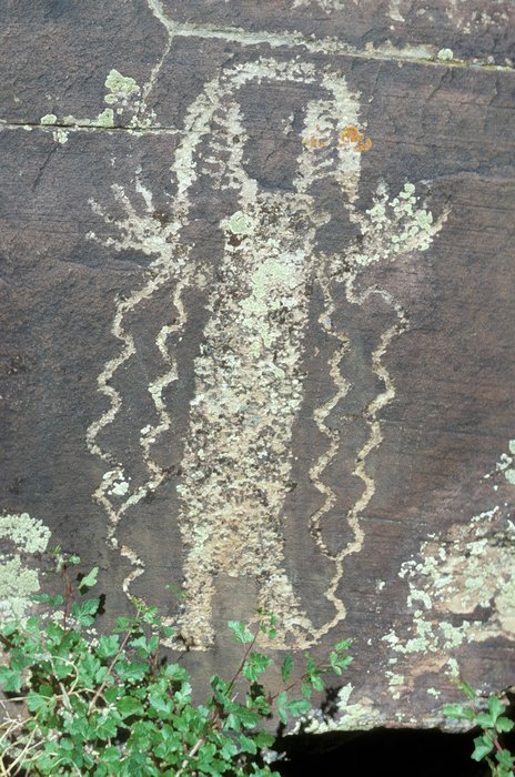 Interior Line Style figure with wavy arms and a lichen-covered body, with lichen growing over parts of the panel